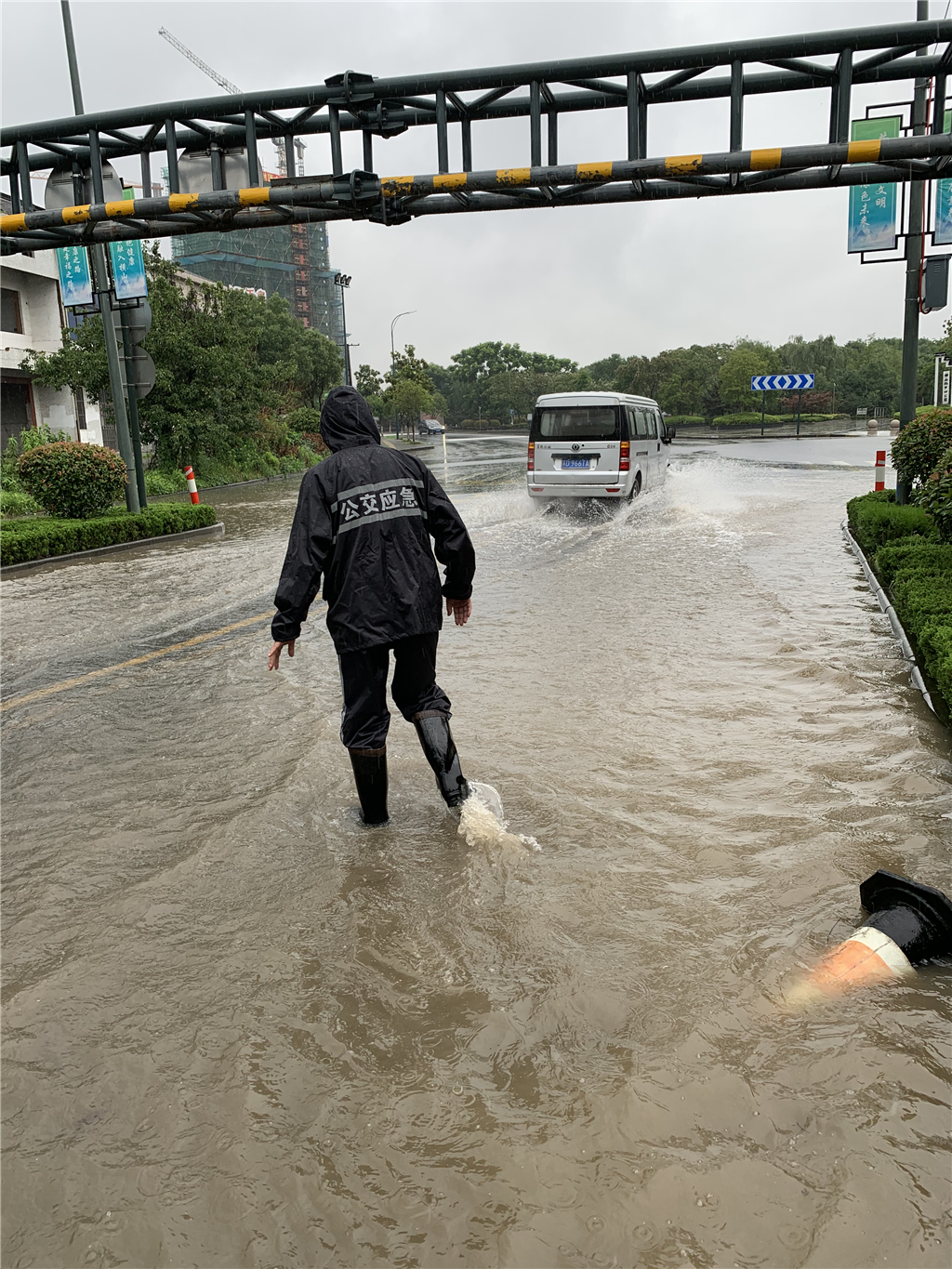 图片19.png 图片19.png